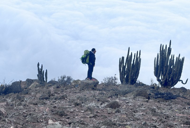 Tour Médano